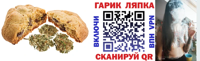 купить закладку  Нерюнгри  Canna-Cookies конопля 