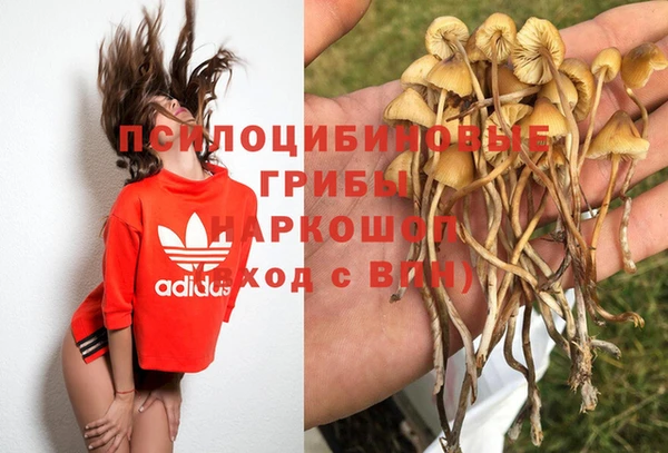 хмурый Баксан