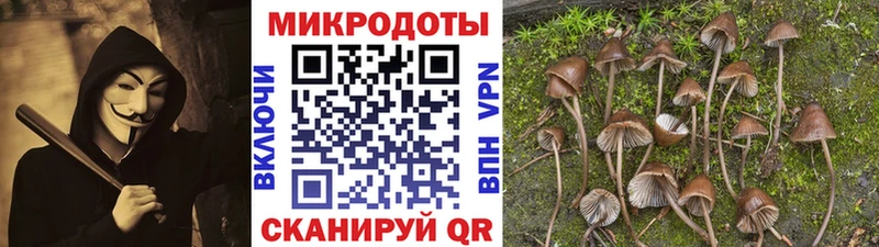 Псилоцибиновые грибы Magic Shrooms Нерюнгри